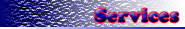 TexasInspect.com Home Inspection - Services