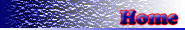 TexasInspect.com Home Inspection - Home Page